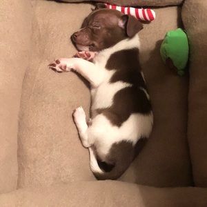 Meet your Posher, Catherine